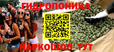 крисы Рыбинск
