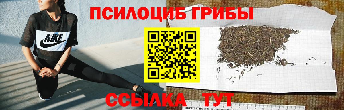 Орехово-Зуево  купить наркоту  Вход с VPN  Галлюциногенные грибы мицелий 
